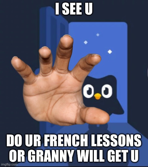 Woah | I SEE U; DO UR FRENCH LESSONS OR GRANNY WILL GET U | image tagged in duolingo bird | made w/ Imgflip meme maker