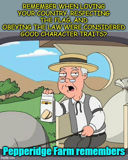 Before woke there was a time... | REMEMBER WHEN LOVING YOUR COUNTRY, RESPECTING THE FLAG, AND OBEYING THE LAW WERE CONSIDERED GOOD CHARACTER TRAITS? Pepperidge Farm remembers | image tagged in memes,pepperidge farm remembers | made w/ Imgflip meme maker