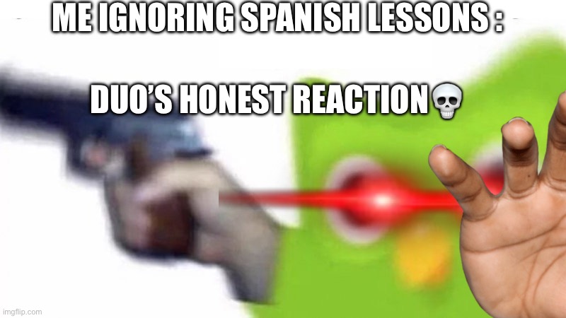 Spanish be like | ME IGNORING SPANISH LESSONS :; DUO’S HONEST REACTION💀 | image tagged in duolingo gun | made w/ Imgflip meme maker