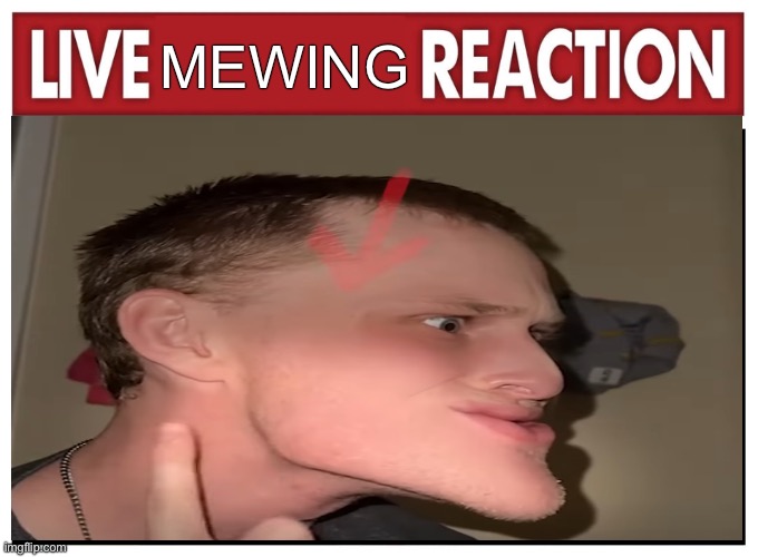 Mewers | MEWING | image tagged in live reaction | made w/ Imgflip meme maker
