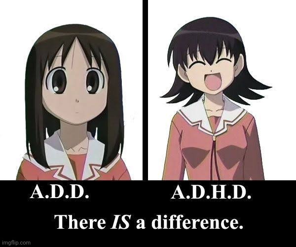 What about both? | image tagged in memes | made w/ Imgflip meme maker