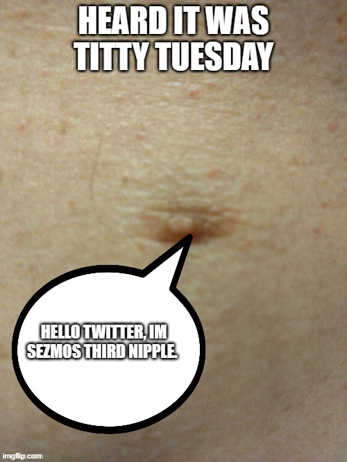 titty tuesdays | HEARD IT WAS TITTY TUESDAY; HELLO TWITTER, IM SEZMOS THIRD NIPPLE. | image tagged in sezmo's third nipple | made w/ Imgflip meme maker