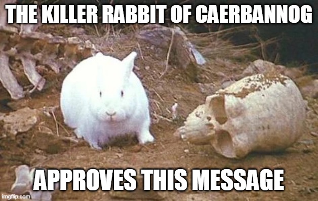 holy grail rabbit | THE KILLER RABBIT OF CAERBANNOG; APPROVES THIS MESSAGE | image tagged in monty python and the holy grail | made w/ Imgflip meme maker