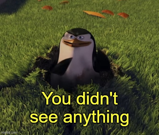 You didn't see anything | image tagged in you didn't see anything | made w/ Imgflip meme maker