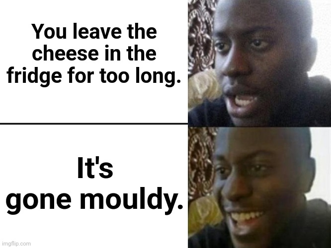 Homemade blue cheese. | You leave the cheese in the fridge for too long. It's gone mouldy. | image tagged in reversed disappointed black man,cheese,mould,mouldy cheese,cheese mould,blue cheese | made w/ Imgflip meme maker