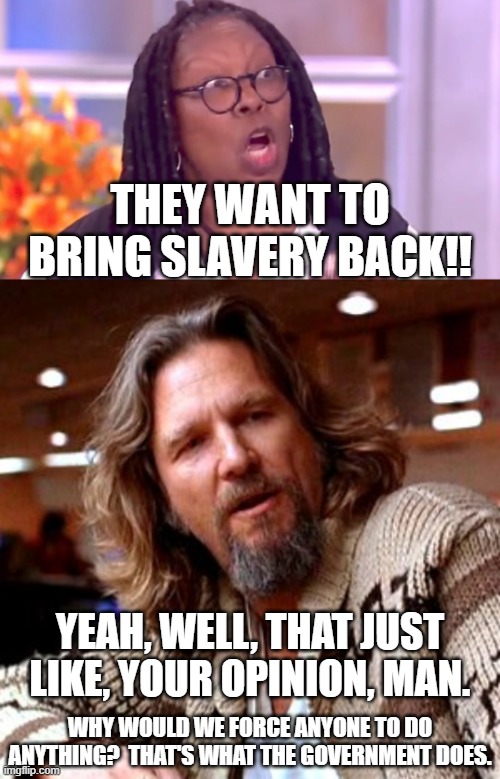 Lefties are insane.  Slavery violates the Constitution, it always did violate the Constitution. | THEY WANT TO BRING SLAVERY BACK!! YEAH, WELL, THAT JUST LIKE, YOUR OPINION, MAN. WHY WOULD WE FORCE ANYONE TO DO ANYTHING?  THAT'S WHAT THE GOVERNMENT DOES. | image tagged in mankind is meant to be free,the 10th amendment is not about slavery,whoopi goldberg | made w/ Imgflip meme maker