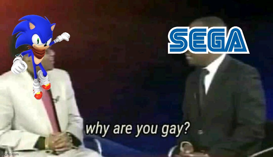 Boom sonic the gay | image tagged in why are you gay | made w/ Imgflip meme maker