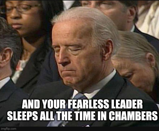 AND YOUR FEARLESS LEADER SLEEPS ALL THE TIME IN CHAMBERS | made w/ Imgflip meme maker