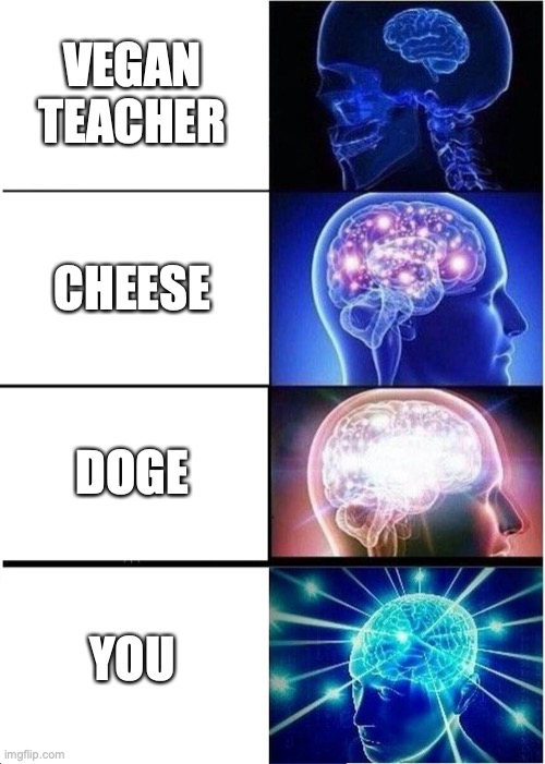 Expanding Brain Meme | VEGAN TEACHER CHEESE DOGE YOU | image tagged in memes,expanding brain | made w/ Imgflip meme maker