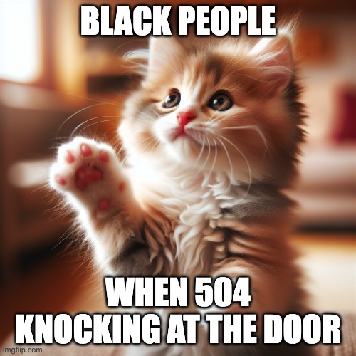 Kitten with paws up | BLACK PEOPLE; WHEN 504 KNOCKING AT THE DOOR | image tagged in kitten with paws up | made w/ Imgflip meme maker