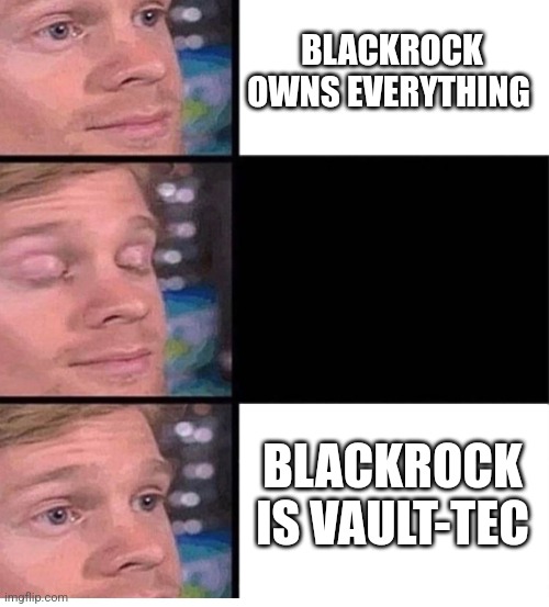 Who runs the world? | BLACKROCK OWNS EVERYTHING; BLACKROCK IS VAULT-TEC | image tagged in blinking guy vertical blank,fallout,vault-tec,blackrock,global monopoly | made w/ Imgflip meme maker
