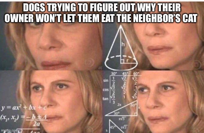 Does your dog do this? | DOGS TRYING TO FIGURE OUT WHY THEIR OWNER WON’T LET THEM EAT THE NEIGHBOR’S CAT | image tagged in math lady/confused lady | made w/ Imgflip meme maker