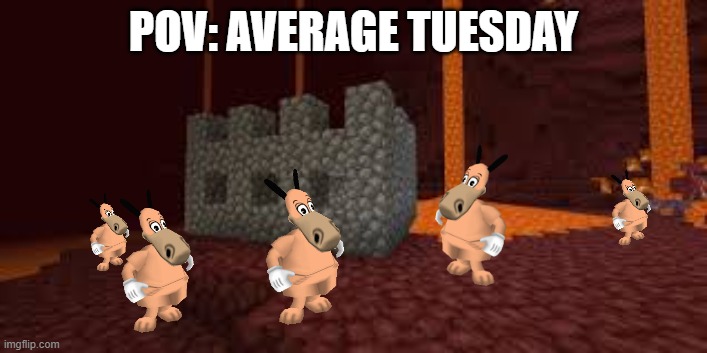 Tan Horse Tuesday | POV: AVERAGE TUESDAY | image tagged in toontown | made w/ Imgflip meme maker