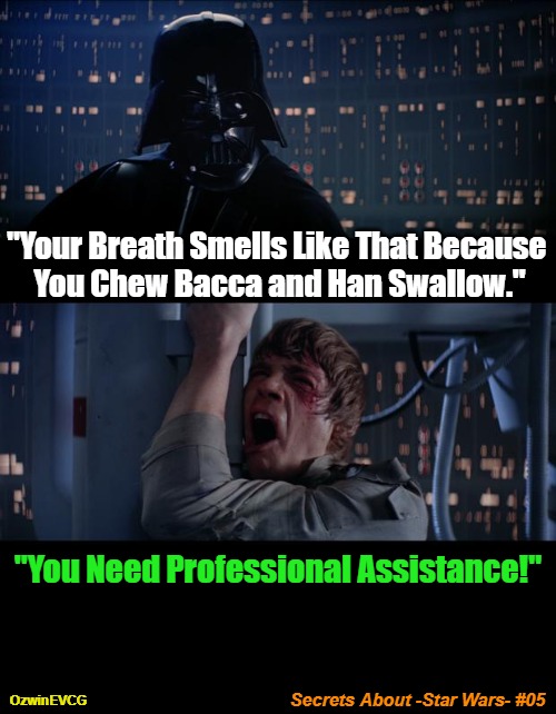 Secrets About -Star Wars- #05 | "Your Breath Smells Like That Because 

You Chew Bacca and Han Swallow."; "You Need Professional Assistance!"; Secrets About -Star Wars- #05; OzwinEVCG | image tagged in memes,star wars no,ridiculous,bad breath,real talk,star wars trivia | made w/ Imgflip meme maker