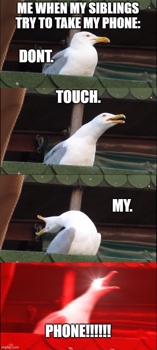 Inhaling Seagull Meme | ME WHEN MY SIBLINGS TRY TO TAKE MY PHONE:; DONT. TOUCH. MY. PHONE!!!!!! | image tagged in memes,inhaling seagull | made w/ Imgflip meme maker