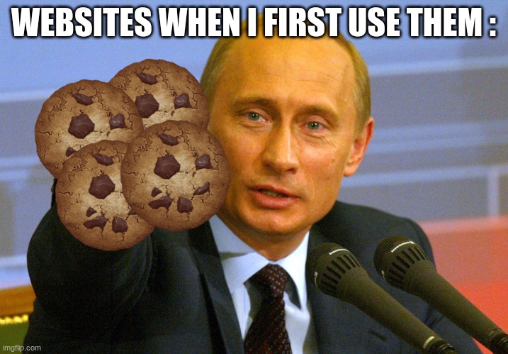 Cookies? | WEBSITES WHEN I FIRST USE THEM : | image tagged in putin give that man a cookie | made w/ Imgflip meme maker
