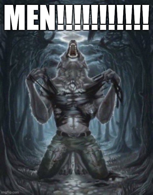 alpha wolf | MEN!!!!!!!!!!! | image tagged in alpha wolf | made w/ Imgflip meme maker