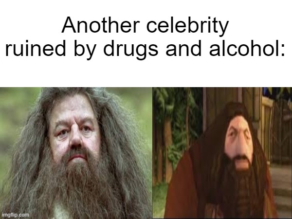 Another celebrity ruined by drugs and alcohol | Another celebrity ruined by drugs and alcohol: | image tagged in harry potter,hagrid,ps1 | made w/ Imgflip meme maker