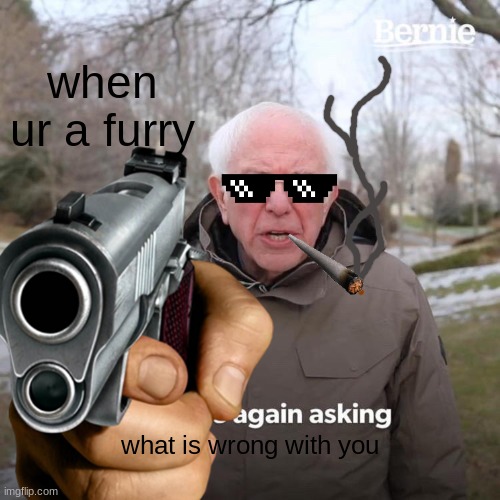 Bernie I Am Once Again Asking For Your Support Meme | when ur a furry; what is wrong with you | image tagged in memes,bernie i am once again asking for your support | made w/ Imgflip meme maker