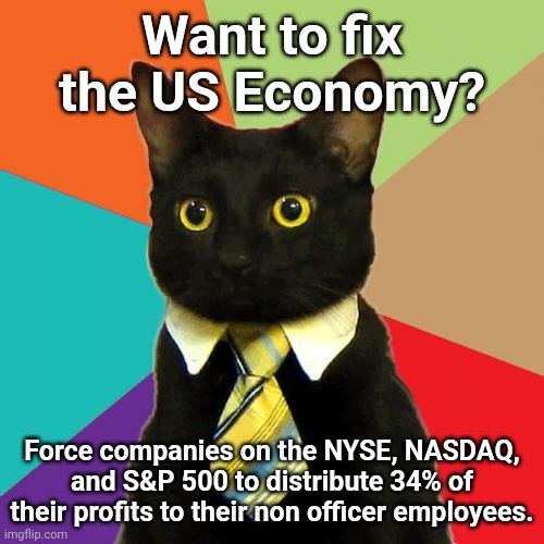Business Cat | Want to fix the US Economy? Force companies on the NYSE, NASDAQ, and S&P 500 to distribute 34% of their profits to their non officer employees. | image tagged in memes,business cat | made w/ Imgflip meme maker