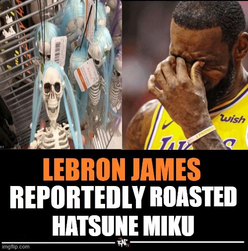 lebron james reportedly | ROASTED HATSUNE MIKU | image tagged in lebron james reportedly | made w/ Imgflip meme maker