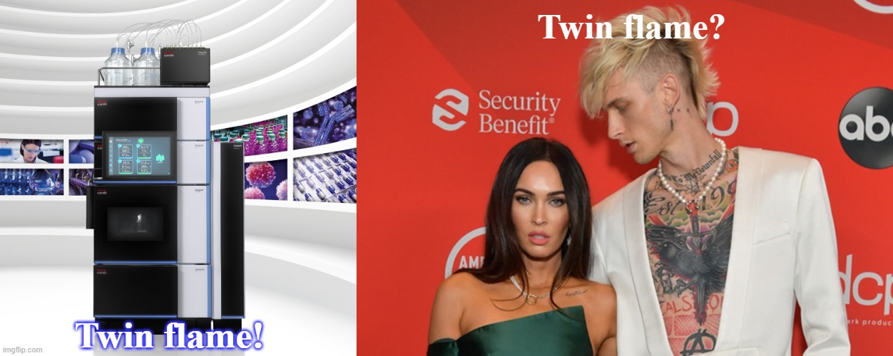 Twin flame? Twin flame! | image tagged in mgk megan fox | made w/ Imgflip meme maker