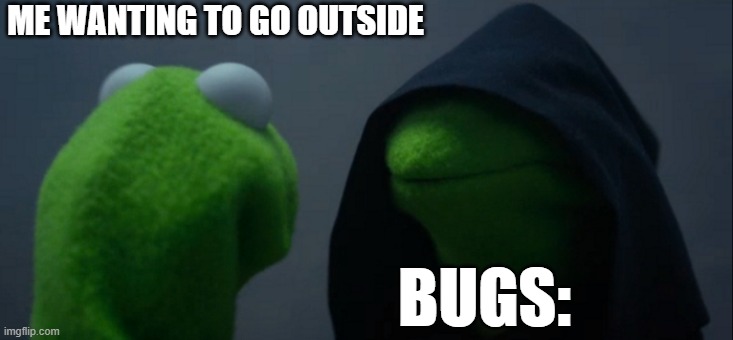 Evil Kermit | ME WANTING TO GO OUTSIDE; BUGS: | image tagged in memes,evil kermit | made w/ Imgflip meme maker