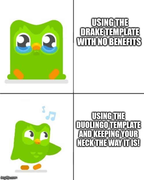 Duolingo Drake meme | USING THE DRAKE TEMPLATE WITH NO BENEFITS; USING THE DUOLINGO TEMPLATE AND KEEPING YOUR NECK THE WAY IT IS! | image tagged in duolingo drake meme | made w/ Imgflip meme maker