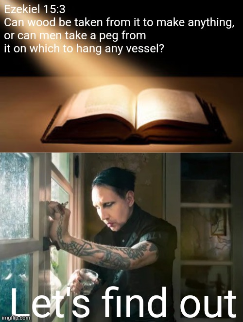 We're all stars now, in the dope show | Ezekiel 15:3
Can wood be taken from it to make anything, or can men take a peg from it on which to hang any vessel? Let's find out | image tagged in bible meme,marilyn manson waiting | made w/ Imgflip meme maker