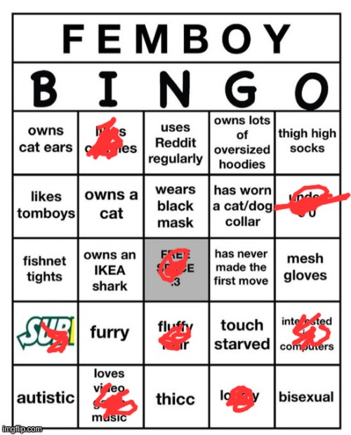 Femboy Bingo | image tagged in femboy bingo | made w/ Imgflip meme maker