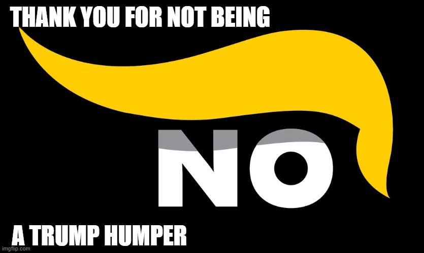 Thank you for not being a Trump Humper | THANK YOU FOR NOT BEING; A TRUMP HUMPER | image tagged in thank you for not being a trump humper,no on trump,trump-humpers | made w/ Imgflip meme maker