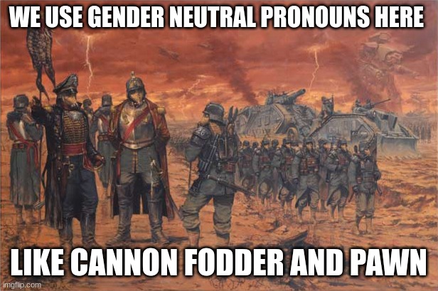 krieg death korps | WE USE GENDER NEUTRAL PRONOUNS HERE; LIKE CANNON FODDER AND PAWN | image tagged in death korps of krieg | made w/ Imgflip meme maker