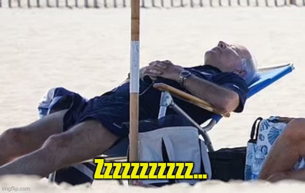 Beach Bum Biden | Zzzzzzzzzzz... | image tagged in beach bum biden | made w/ Imgflip meme maker