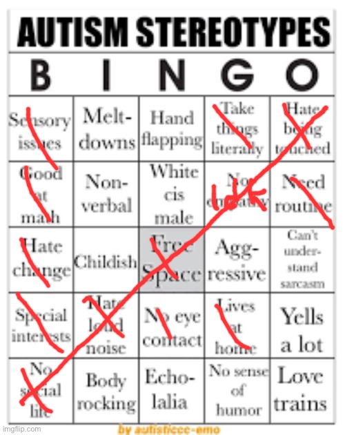 autism stereotypes bingo | image tagged in autism stereotypes bingo | made w/ Imgflip meme maker