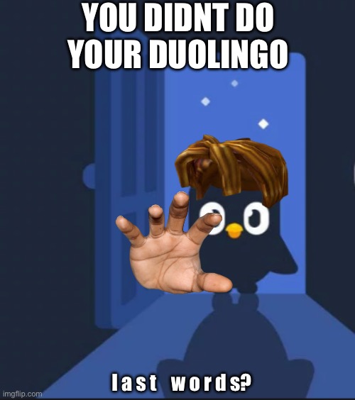Duolingo | YOU DIDNT DO YOUR DUOLINGO; l a s t    w o r d s? | image tagged in duolingo bird | made w/ Imgflip meme maker