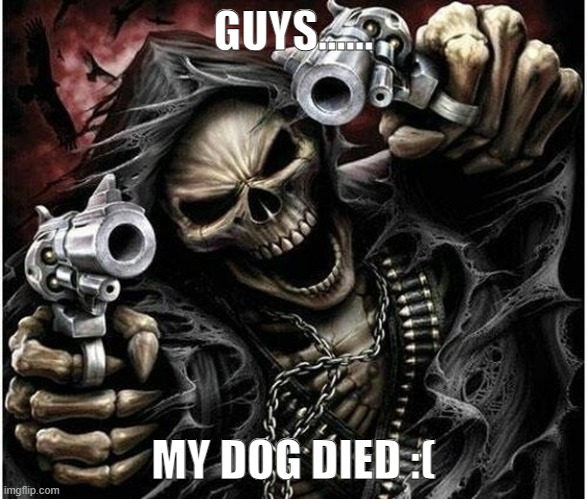 Badass Skeleton | GUYS...... MY DOG DIED :( | image tagged in badass skeleton | made w/ Imgflip meme maker