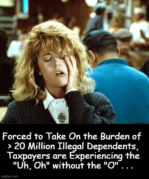 Screwed Again . . . | Forced to Take On the Burden of  
> 20 Million Illegal Dependents, 
Taxpayers are Experiencing the 
"Uh, Oh" without the "O" . . . | image tagged in political humor,meg ryan,taxpayers,screwed,not fun,illegal immigration | made w/ Imgflip meme maker