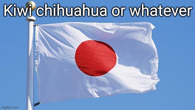 Japan flag | Kiwi chihuahua or whatever | image tagged in japan flag | made w/ Imgflip meme maker