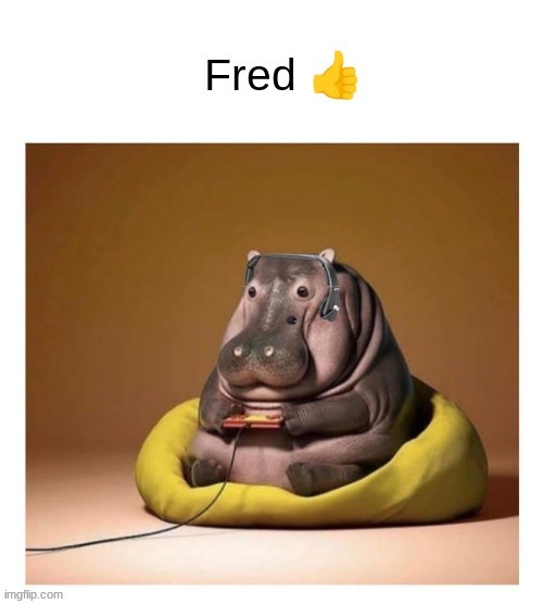 Fred! | image tagged in memes | made w/ Imgflip meme maker