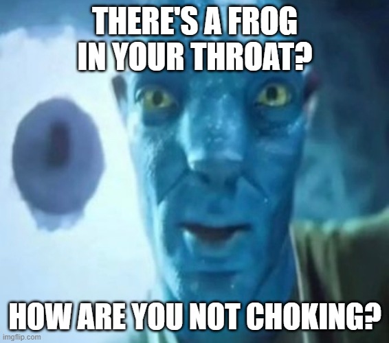 Avatar guy | THERE'S A FROG IN YOUR THROAT? HOW ARE YOU NOT CHOKING? | image tagged in avatar guy | made w/ Imgflip meme maker