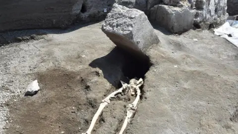 High Quality Pompeii guy Blank Meme Template