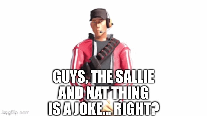 scout drip | GUYS, THE SALLIE AND NAT THING IS A JOKE… RIGHT? | image tagged in scout drip | made w/ Imgflip meme maker