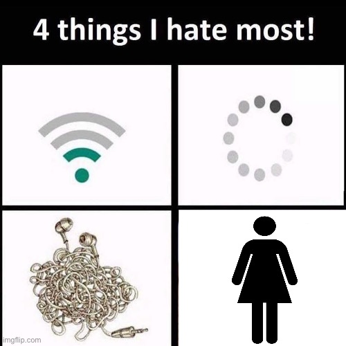 4 things I hate the most | image tagged in 4 things i hate the most,sexist memes | made w/ Imgflip meme maker