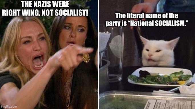 womanyellingatcat | THE NAZIS WERE RIGHT WING, NOT SOCIALIST! The literal name of the party is “National SOCIALISM.” | image tagged in womanyellingatcat | made w/ Imgflip meme maker