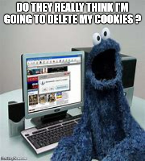 memes by Brad Cookie Monster deletes cookies humor | DO THEY REALLY THINK I'M GOING TO DELETE MY COOKIES ? | image tagged in gaming,funny,cookie monster,cookies,computer,pc gaming | made w/ Imgflip meme maker