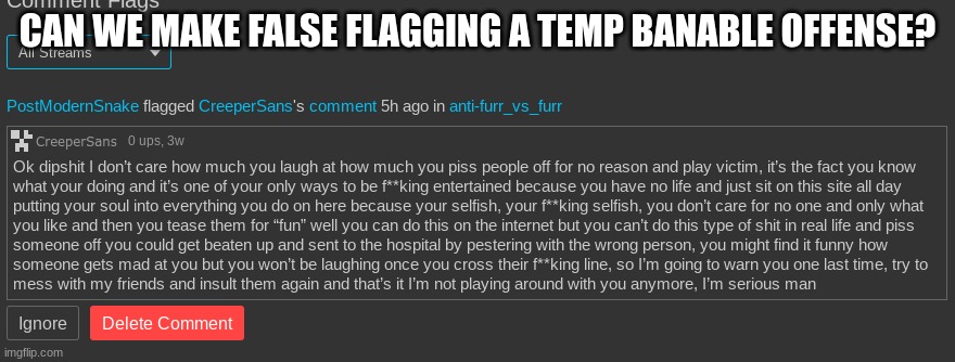 CAN WE MAKE FALSE FLAGGING A TEMP BANABLE OFFENSE? | made w/ Imgflip meme maker