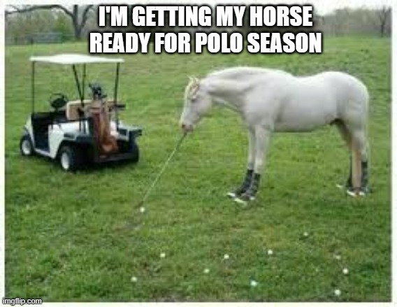 memes by Brad I'm getting my horse ready for polo season | I'M GETTING MY HORSE READY FOR POLO SEASON | image tagged in sports,funny,horse,funny meme,humor | made w/ Imgflip meme maker