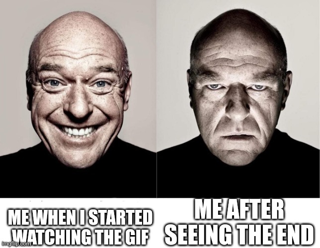 breaking bad smile frown | ME WHEN I STARTED WATCHING THE GIF ME AFTER SEEING THE END | image tagged in breaking bad smile frown | made w/ Imgflip meme maker