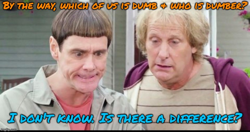 I've always wondered. | By the way, which of us is dumb & who is dumber? I don't know. Is there a difference? | image tagged in dumb dumber,dumb question,nobody expects the spanish inquisition monty python,movie humor,why not both | made w/ Imgflip meme maker