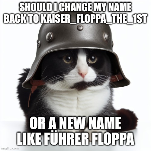 Just asking | SHOULD I CHANGE MY NAME BACK TO KAISER_FLOPPA_THE_1ST; OR A NEW NAME LIKE FÜHRER FLOPPA | image tagged in kaiser_floppa_the_1st silly post | made w/ Imgflip meme maker